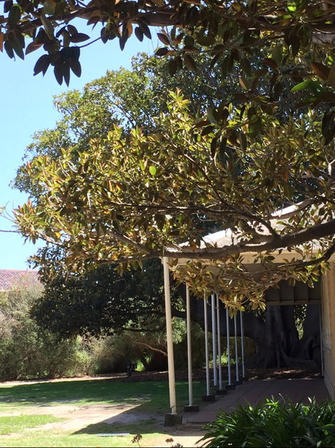 Black Rock House - Accommodation Adelaide 1