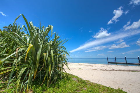 Bongaree Walkabout - Accommodation Adelaide 0