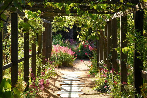 Buda Historic Home & Garden - Accommodation Adelaide 2