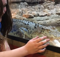 Canberra Reptile Zoo - Accommodation Adelaide