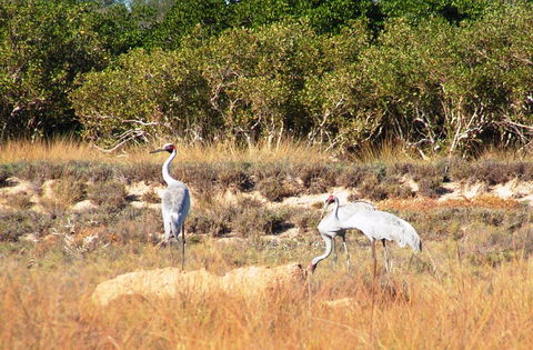Cape Keraudren Nature Reserve - Accommodation Adelaide 0
