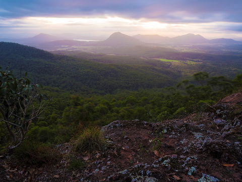 Cunninghams Gap And Spicers Gap, Main Range National Park - Accommodation Adelaide 0