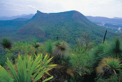 Cunninghams Gap And Spicers Gap, Main Range National Park - Accommodation Adelaide 1