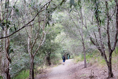 D'Aguilar National Park - Accommodation Adelaide 2
