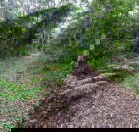 Double Wharf Trail - Accommodation Adelaide