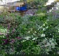 Down to Earth Permaculture - Accommodation Adelaide