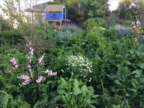 Down To Earth Permaculture - Accommodation Adelaide 0