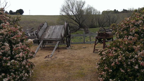 Early Settlers Hut - Accommodation Adelaide 2
