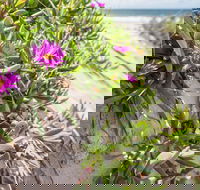Fort Bribie - Accommodation Adelaide