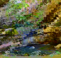 Glimpse of the Outback 5 Day Tour - Roma and Surrounds - Accommodation Adelaide