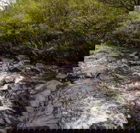 Gloucester River walking track - Accommodation Adelaide
