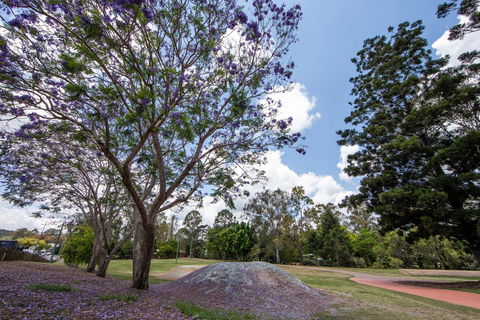 John Scott Park - Accommodation Adelaide 0