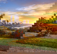 Kings Park and Botanic Garden - Accommodation Adelaide