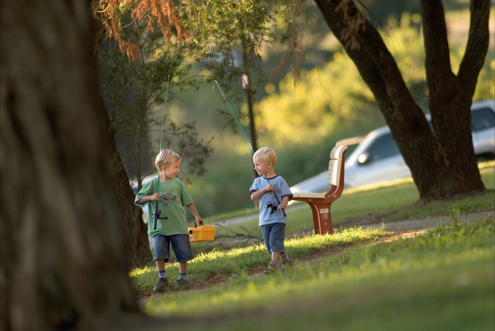 Loftville NSW Accommodation Adelaide