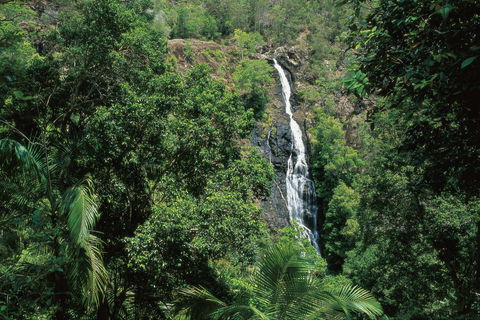 Mapleton Falls National Park - Accommodation Adelaide 0