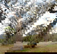 Moolarben Picnic Area - Accommodation Adelaide