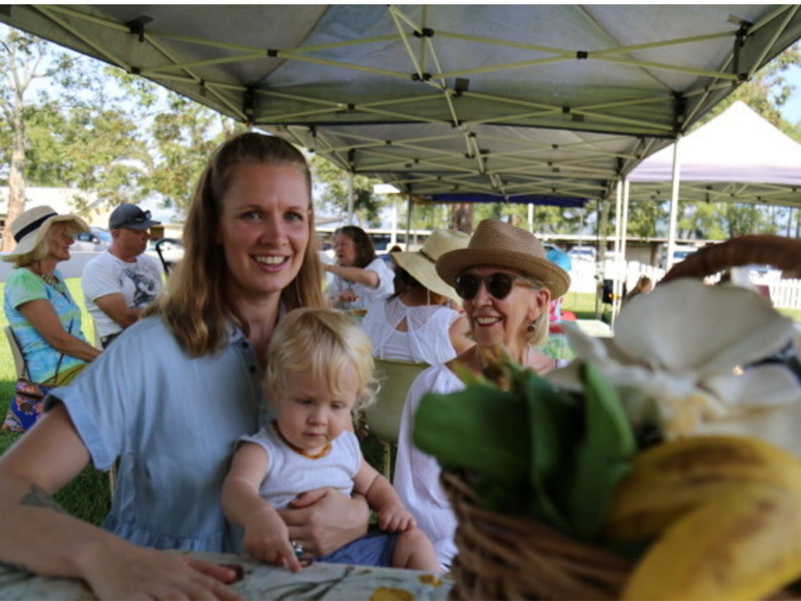 Murwillumbah South NSW Accommodation Adelaide