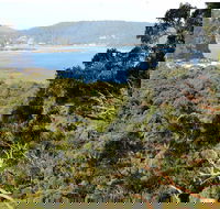 Patonga to Pearl Beach Walking Track - Accommodation Adelaide