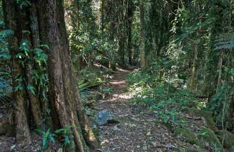 Pholis Gap Walking Track - Accommodation Adelaide 0