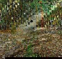 Sand track walk north - Accommodation Adelaide