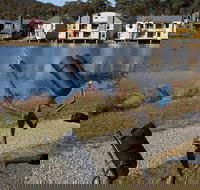 Sculpture Trail at Lake Crackenback Resort and Spa - Accommodation Adelaide