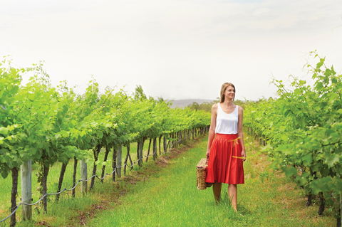 Swan Valley - Accommodation Adelaide 0