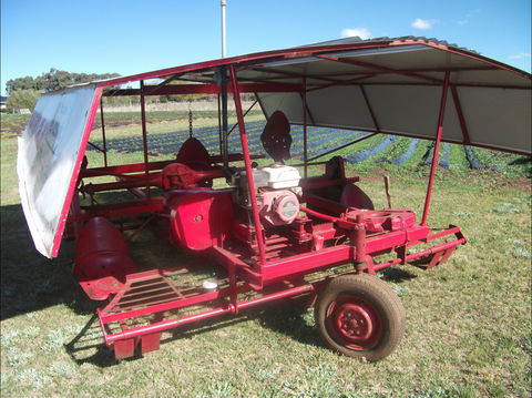 The Super Strawberry - Accommodation Adelaide 2