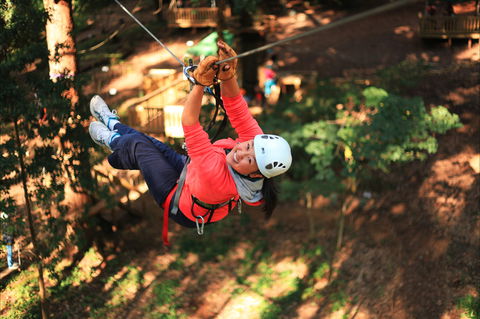 Trees Adventure - Glen Harrow Park - Accommodation Adelaide 0