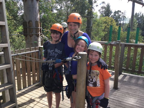Trees Adventure - Glen Harrow Park - Accommodation Adelaide 1