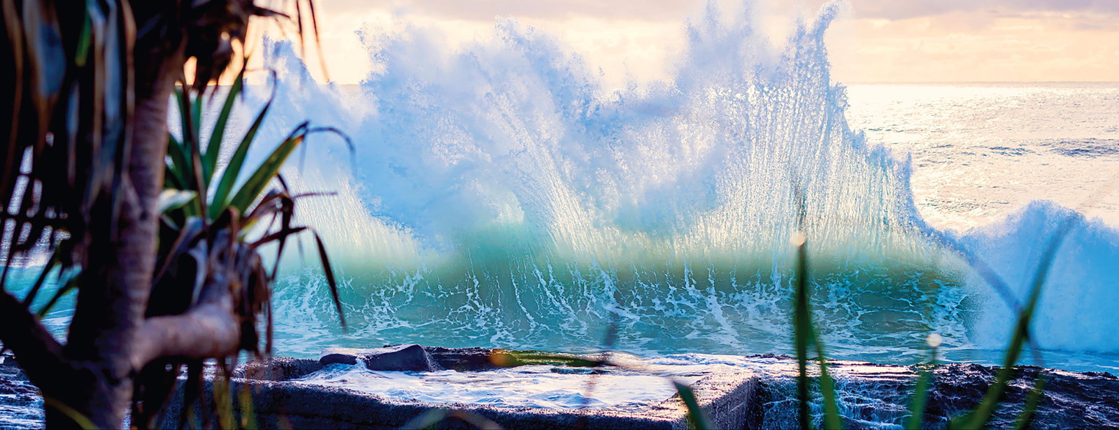 Tugun QLD Accommodation Adelaide