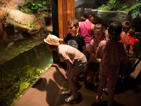 Walkabout Creek Discovery Centre - Accommodation Adelaide 2