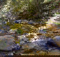 Washpool Walking Track - Accommodation Adelaide