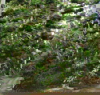 Way Way Creek Road Drive - Accommodation Adelaide