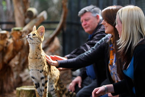 Werribee Open Range Zoo - Accommodation Adelaide 0