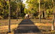 Windmill Walk - thumb 2