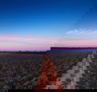 Yanga National Park - Accommodation Adelaide