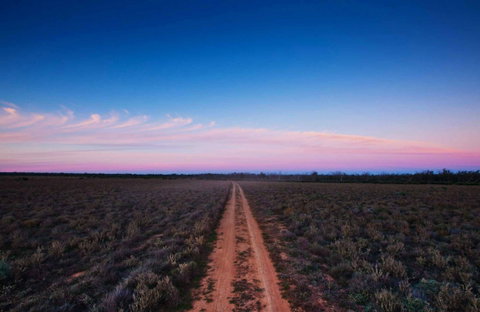 Yanga National Park - Accommodation Adelaide 0