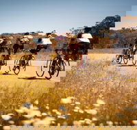 7 Peaks Ride - Dinner Plain - Accommodation Adelaide