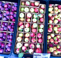 Adelaide Showground Farmers' Market - Accommodation Adelaide