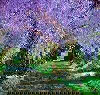 Alowyn Gardens and Nursery - Accommodation Adelaide