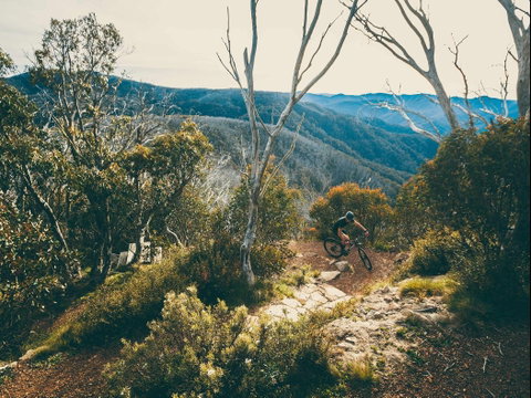 Australian Alpine Epic Mountain Bike Trail - Accommodation Adelaide 1
