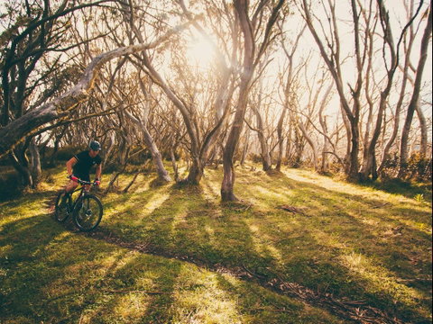 Australian Alpine Epic Mountain Bike Trail - Accommodation Adelaide 2