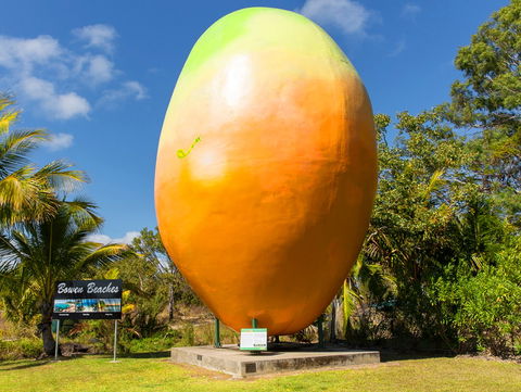 Big Mango - Accommodation Adelaide 0