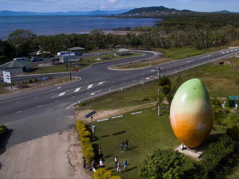 Big Mango - Accommodation Adelaide 1