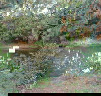 Birdwing Butterfly Walk - Accommodation Adelaide