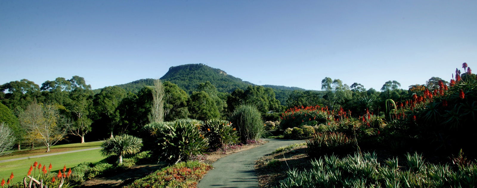 Keiraville NSW Accommodation Adelaide