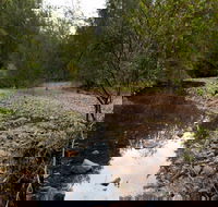 Budawang National Park - Accommodation Adelaide