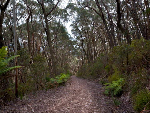 Budawang National Park - Accommodation Adelaide 1