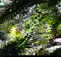 Byrrill Creek Walking Track - Accommodation Adelaide