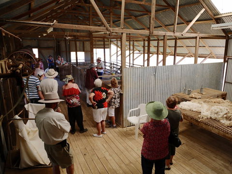 Camden Park Station - Longreach - Accommodation Adelaide 0